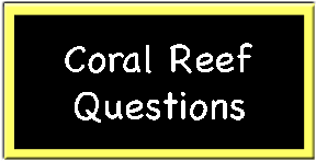 Coral Q